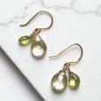 画像2: 【 Twin Shape - ツインシェイプ 】 ピアス・イヤリング (2)
